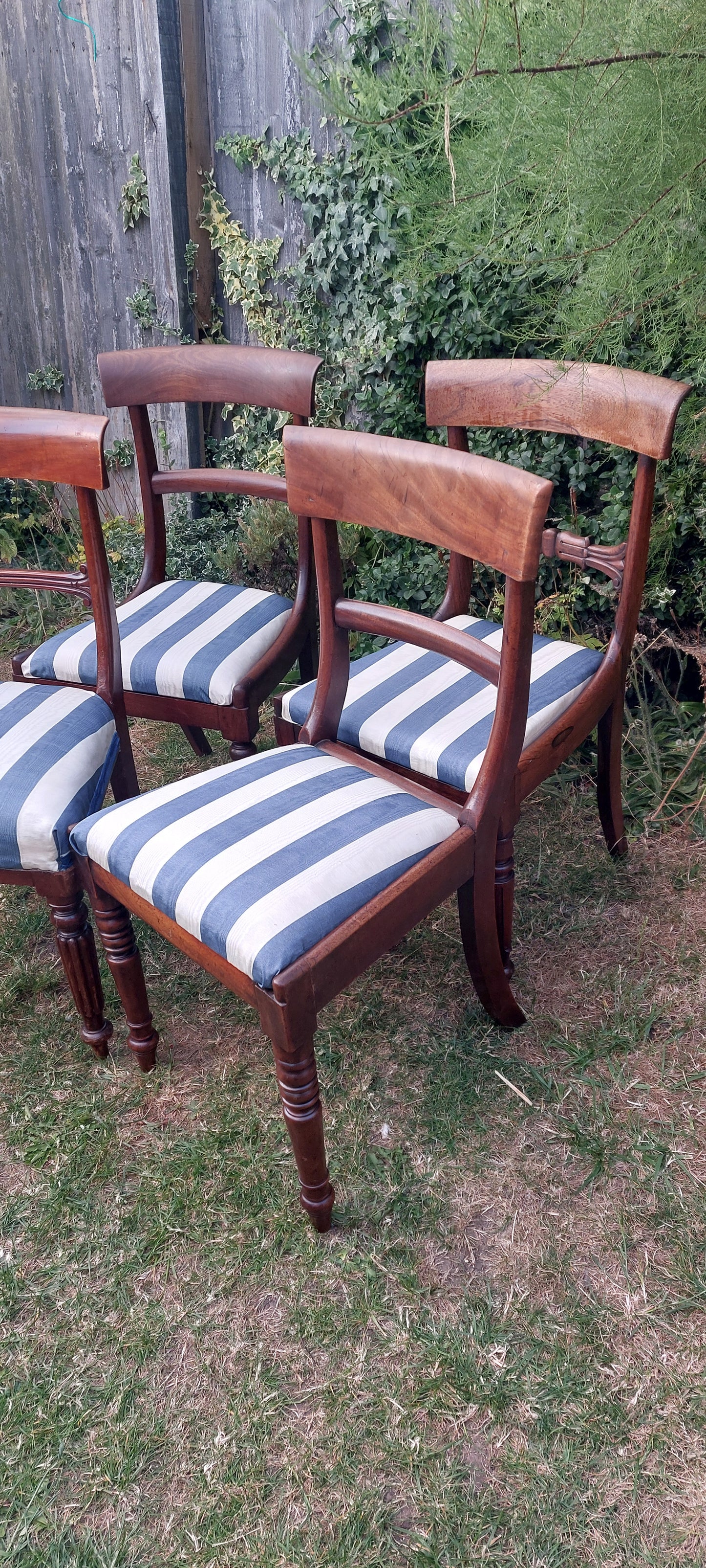 Four antique dining chairs William IV